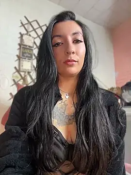Show Webcam de SALOME_KORLAND