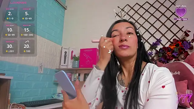 Show Webcam de SALOME_KORLAND