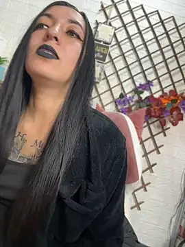 Show Webcam de SALOME_KORLAND