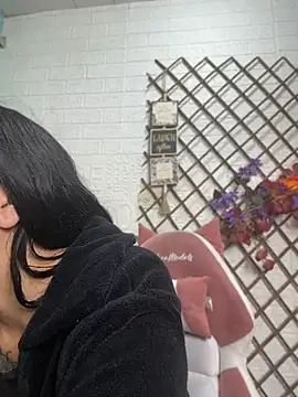 Show webcam de SALOME_KORLAND