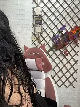 Show webcam de SALOME_KORLAND