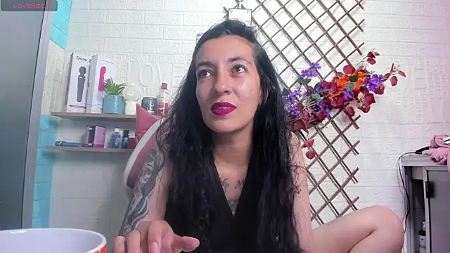 Show Webcam de SALOME_KORLAND