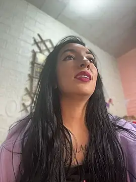 Show Webcam de SALOME_KORLAND