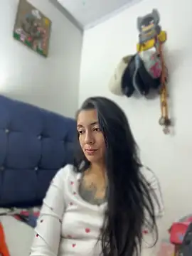 Show Webcam de SALOME_KORLAND