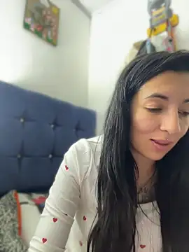 Show Webcam de SALOME_KORLAND