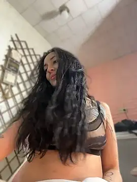 Show Webcam de SALOME_KORLAND