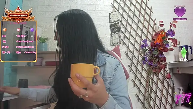 Show webcam de SALOME_KORLAND