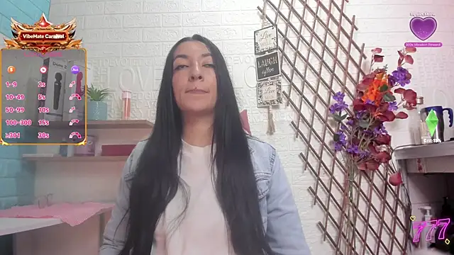 عرض كام SALOME_KORLAND