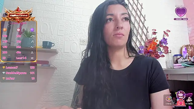 Show Webcam de SALOME_KORLAND