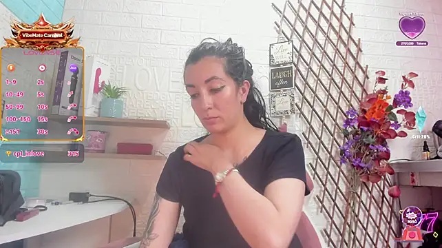 Show webcam de SALOME_KORLAND