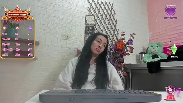 Show Webcam de SALOME_KORLAND
