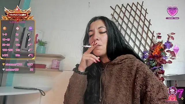 SALOME_KORLANDn Webbikameraesitys