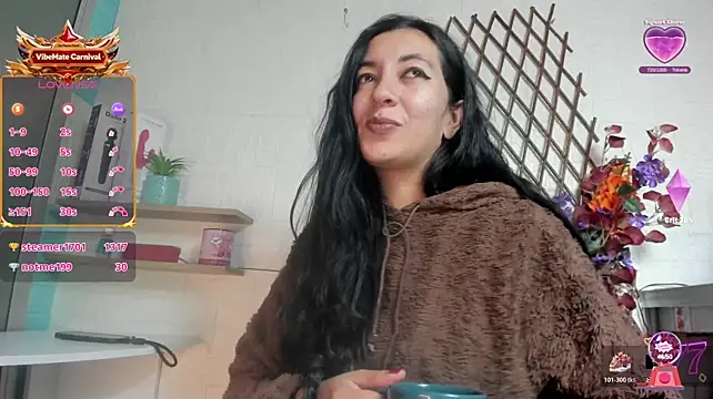 Show webcam de SALOME_KORLAND