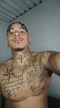 Webkamerová show David_tatto1