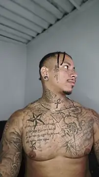 Pertunjukan Kamera Web David_tatto1