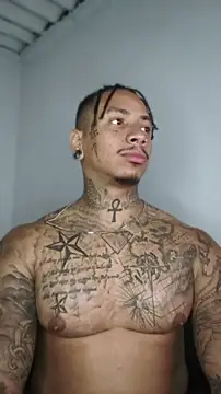 David_tatto1 Show in webcam