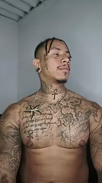 عرض كام David_tatto1