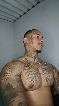David_tatto1 Pertunjukan Webcam