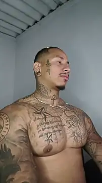 הופעת וובקאם של David_tatto1