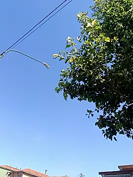 Alley87 ওয়েবক্যাম শো