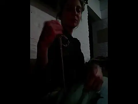 felopayln Webbikameraesitys