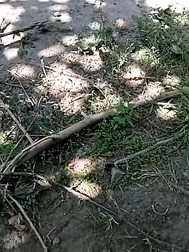 hornny_boy35: вебкам-шоу