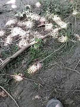 Webkamerová show hornny_boy35