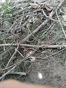 Pokazy przed kamerką – hornny_boy35