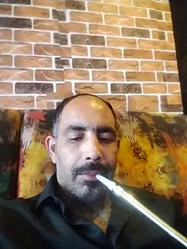 salimbasha webcam show