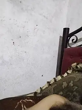 salimbasha webcam show