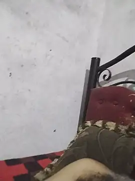عرض كام salimbasha