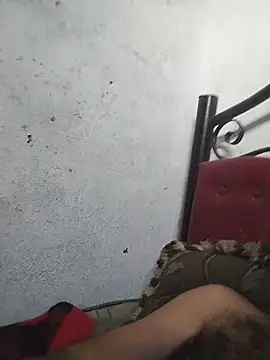 عرض كام salimbasha