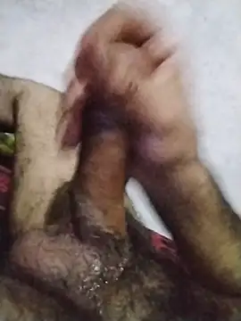 عرض كام salimbasha