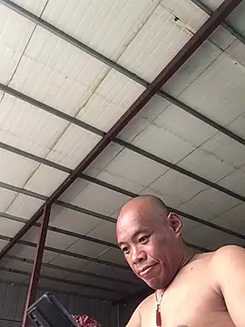 FleckedAlbum 网络视讯表演