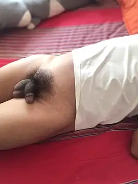 FleckedAlbum 在線直播表演
