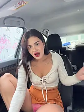 MiraReach Webcam-Show