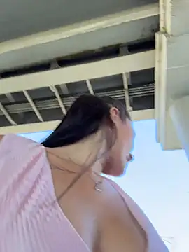 MiraReach Webcam-Show