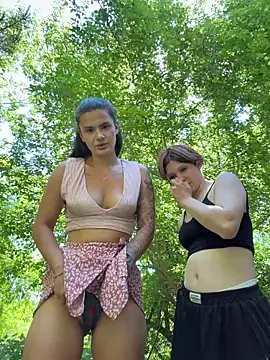 MiraReach Webcam-Show