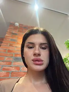 MiraReach Webcam-Show