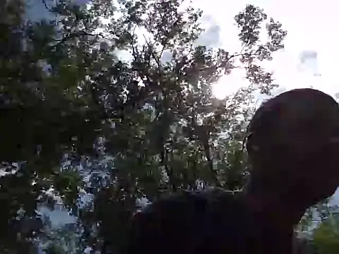 dik4cache Webcamshow