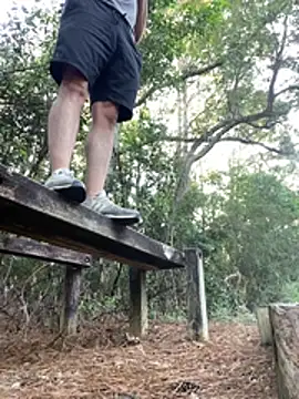 הופעת וובקאם של dik4cache