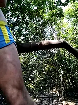 Show Webcam de KalendaXL