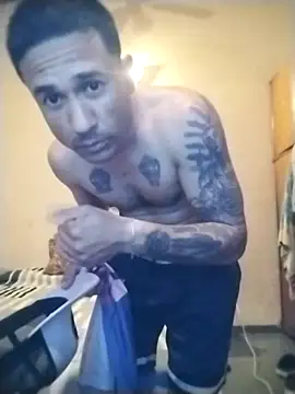 TrappingTransit – webcam-show