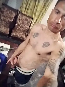 TrappingTransit Webcam show