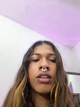Show webcam de cam11_07