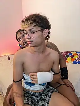 Show webcam de cam11_07