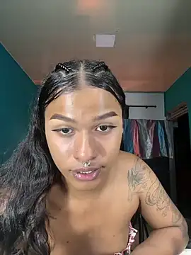Show de cam11_07 na webcam
