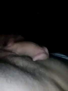 cnralcz Pertunjukan Webcam