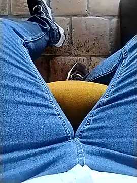 Show webcam de Priv69ley