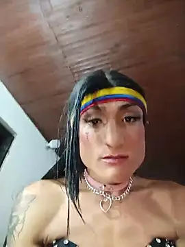 Pertunjukan Kamera Web TRANS_COLOMBIA